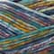 15 Pack: Bulky Twist™ Multi Yarn by Loops & Threads®